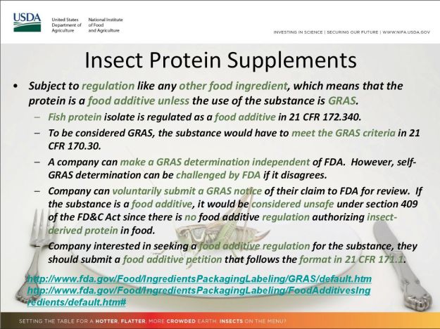 GRAS edible insects
