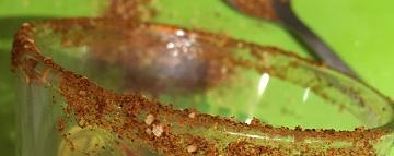 seasoned rim sal de cricket crop 2